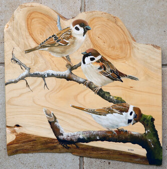 Schilderij 3 mussen op hout 35 x 35 cm.