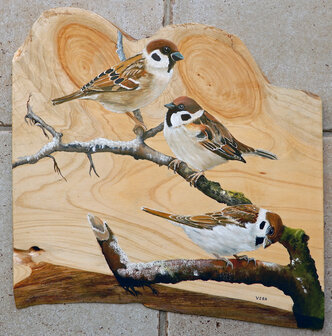 Schilderij 3 mussen op hout 35 x 35 cm.