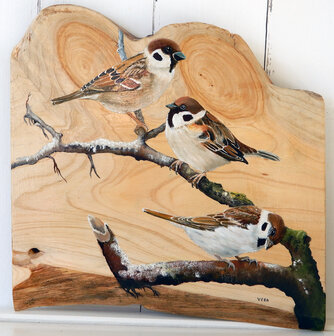 Schilderij 3 mussen op hout 35 x 35 cm.