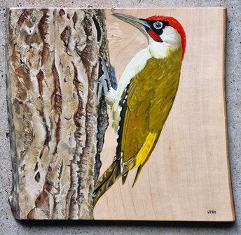 Schilderij groene specht op hout 27 x 25 cm.