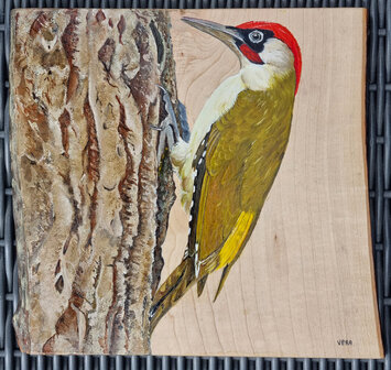 Schilderij groene specht op hout 27 x 25 cm.
