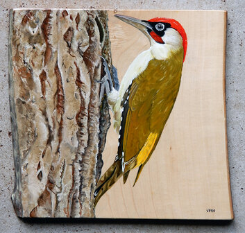 Schilderij groene specht op hout 27 x 25 cm.