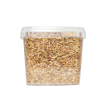 Pets en Co Gammarus 1,2 Liter