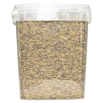 Pets en Co Meelwormen 10 Liter