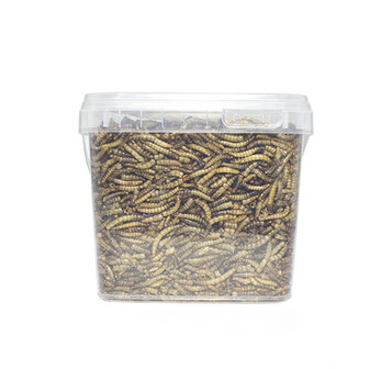 Pets en Co Meelwormen 1,2 Liter