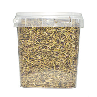 Pets en Co Meelwormen 2,5 Liter