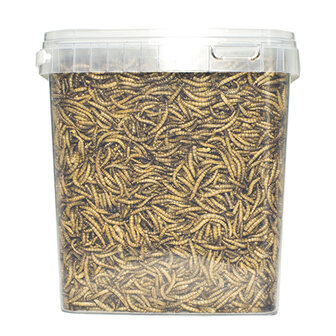 Pets en Co Meelwormen 5 Liter