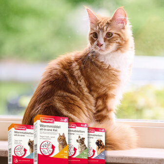 Beaphar Wormmiddel All In One Kat 2 tab.