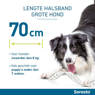 Seresto halsband 70cm voor hond vanaf 8kg tegen vlooien, teken, luizen 