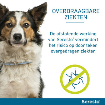 Seresto halsband 70cm voor hond vanaf 8kg tegen vlooien, teken, luizen 
