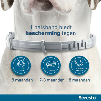 Seresto halsband 38 cm voor hond tot 8kg tegen vlooien, teken, luizen 