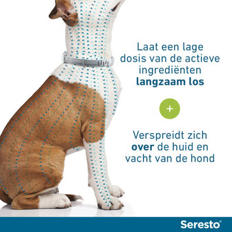 Seresto halsband 70cm voor hond vanaf 8kg tegen vlooien, teken, luizen 