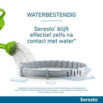 Seresto halsband 38 cm voor kat tegen vlooien, teken, luizen 