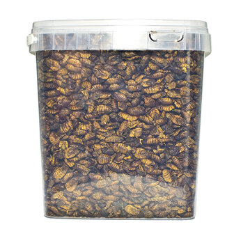 Pets en Co Zijdenrupsen 5 Liter