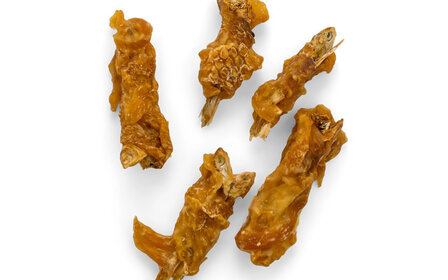 Pets en Co Kipvisjes 100 gr