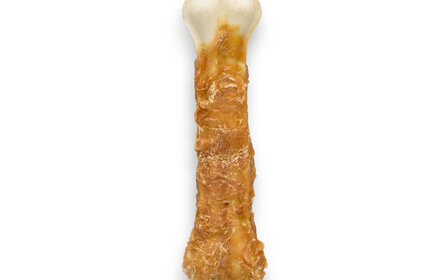 Pets en Co Wit Bot met Kip 20cm 1st