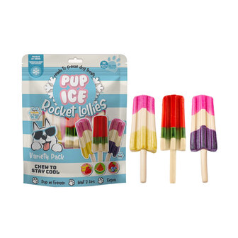 pup ice rocket lollies hondenijsjes 5st