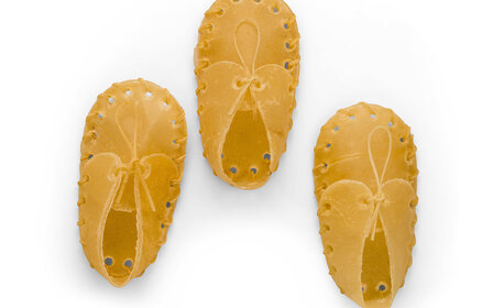 Pets en Co Schoen Klein 3st
