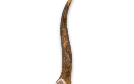 Pets en Co Hertengewei L (151-225G) 1 st