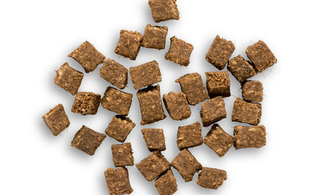 Pets en Co 100% Lamtrainers 125gr