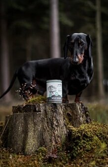 Riverwood natvoer Wildzwijn mono prote&iuml;ne 400 gram