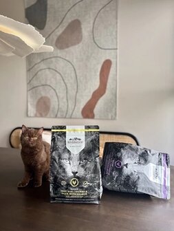 Riverwood Kitten  Kip &amp; Eend met Zalm 300 gram