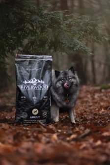 Riverwood Adult Rendier &amp; Hert met Wild Zwijn 12 kg hondenvoer
