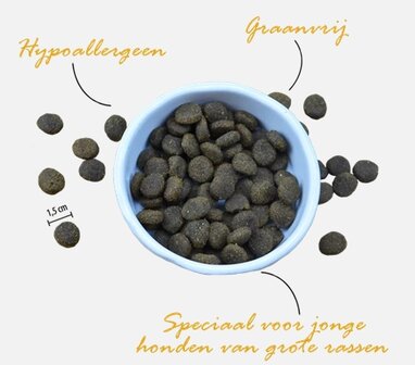 Riverwood Junior XL  Eend &amp; Kalkoen met Fazant 2 kg