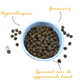 Riverwood Puppy Kalkoen &amp; Eend met Fazant 12 kg