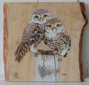 Schilderij steenuilen op hout 28 x 26 cm.