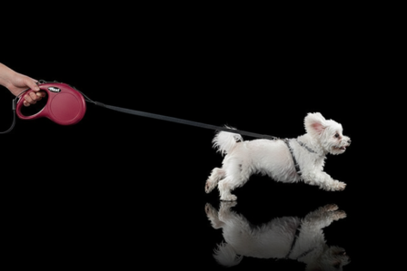 flexi rollijn CLASSIC tape XS rood, 3 meter.