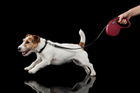 Flexi Rollijn Classic Cord M 5 Meter Rood