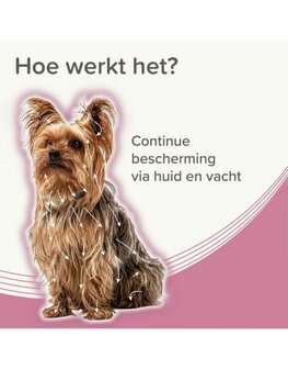 Beaphar Medicinale Halsband Hond tot 8 kg | Tot 8 maanden bescherming
