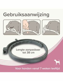 Beaphar Medicinale Halsband Hond tot 8 kg | Tot 8 maanden bescherming