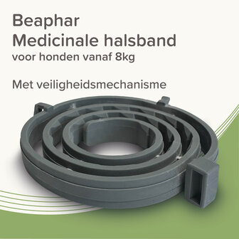 Beaphar Medicinale Halsband Hond vanaf 8 kg | Tot 8 maanden bescherming