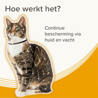 Beaphar Medicinale Halsband Kat | Tot 8 maanden bescherming tegen teken