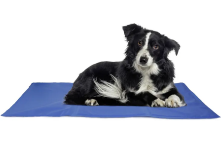 Flamingo Koelmat Frosty Rechthoekig Blauw L 90x50 cm | Koelmat voor hond