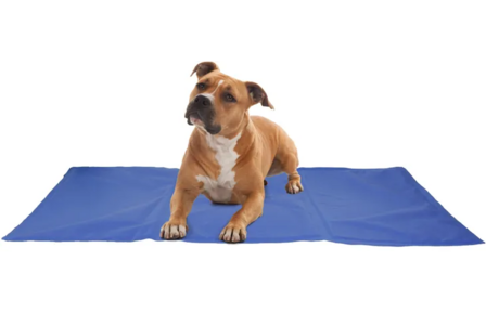 Flamingo Koelmat Frosty Rechthoekig Blauw XXL 120x80 cm | Extra grote koelmat voor hond