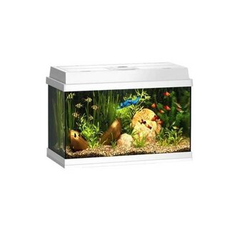 Juwel Aquarium Rekord 600 Wit 61x31x42 cm 