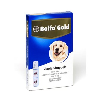 Bolfo Gold Hond 250 4 Pipetten