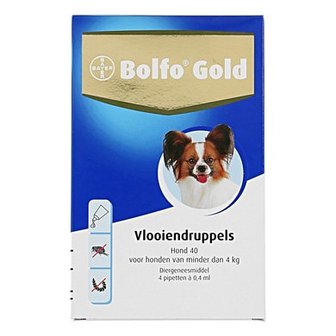 Bolfo Gold Hond 40 4 Pipetten