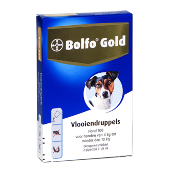 Bolfo Gold Hond 100 2 Pipetten