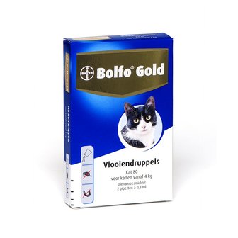 Bolfo Gold Kat 80 2 Pipetten
