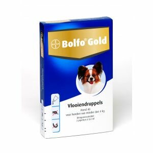 Bolfo Gold Hond 40 2 Pipetten