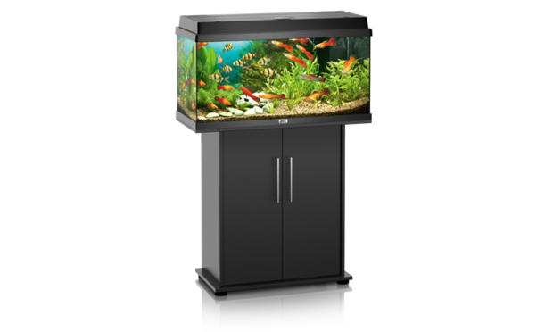 Juwel - rekord 800 aquarium 81x36x45 cm