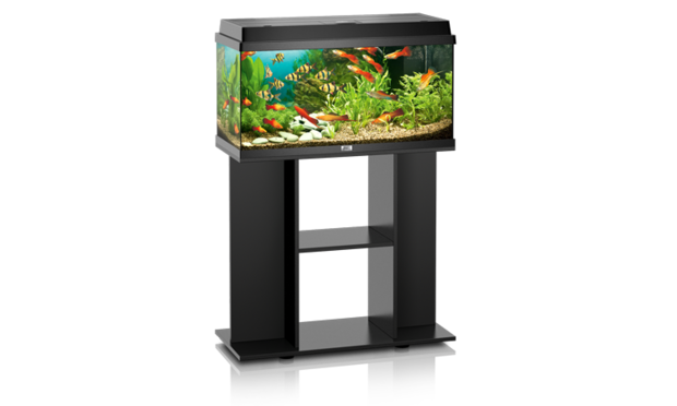 Kleren beheerder God Juwel Aquarium Rekord 800 Zwart 81x36x45 cm - Jouwdierenwinkel.nl