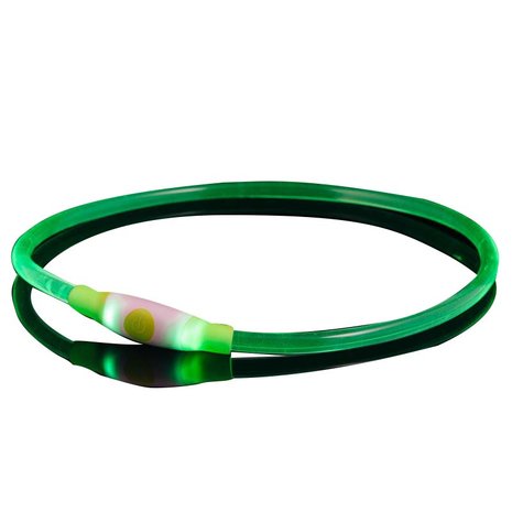 Bee Seen Dog Led Band USB Green