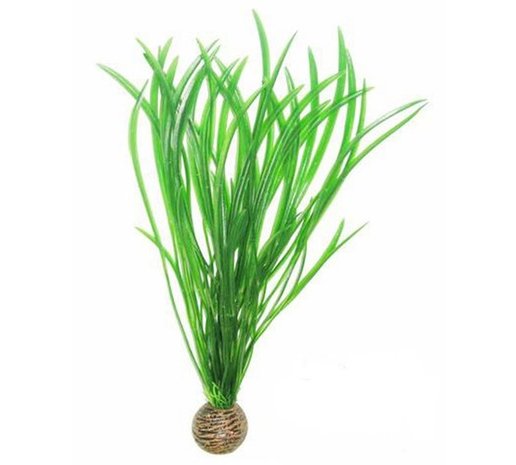 SuperFish Easy Plant Hoog 30cm nr 4