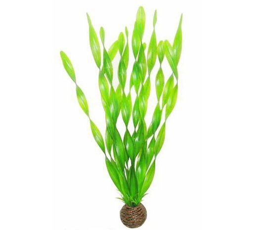 SuperFish Easy Plant Hoog 30cm Nr 6