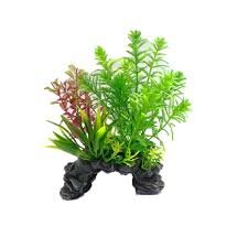 Superfish Deco Plant S Hottonia